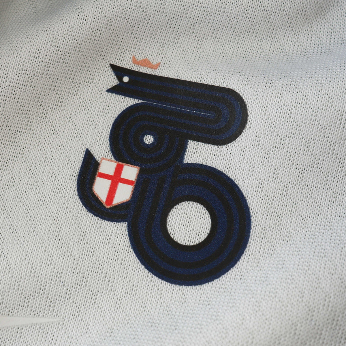 Away 24/25 Fan Shirt