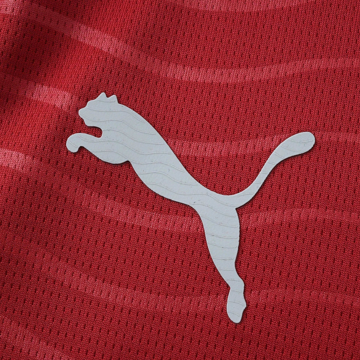 Home 26/27 Fan Shirt