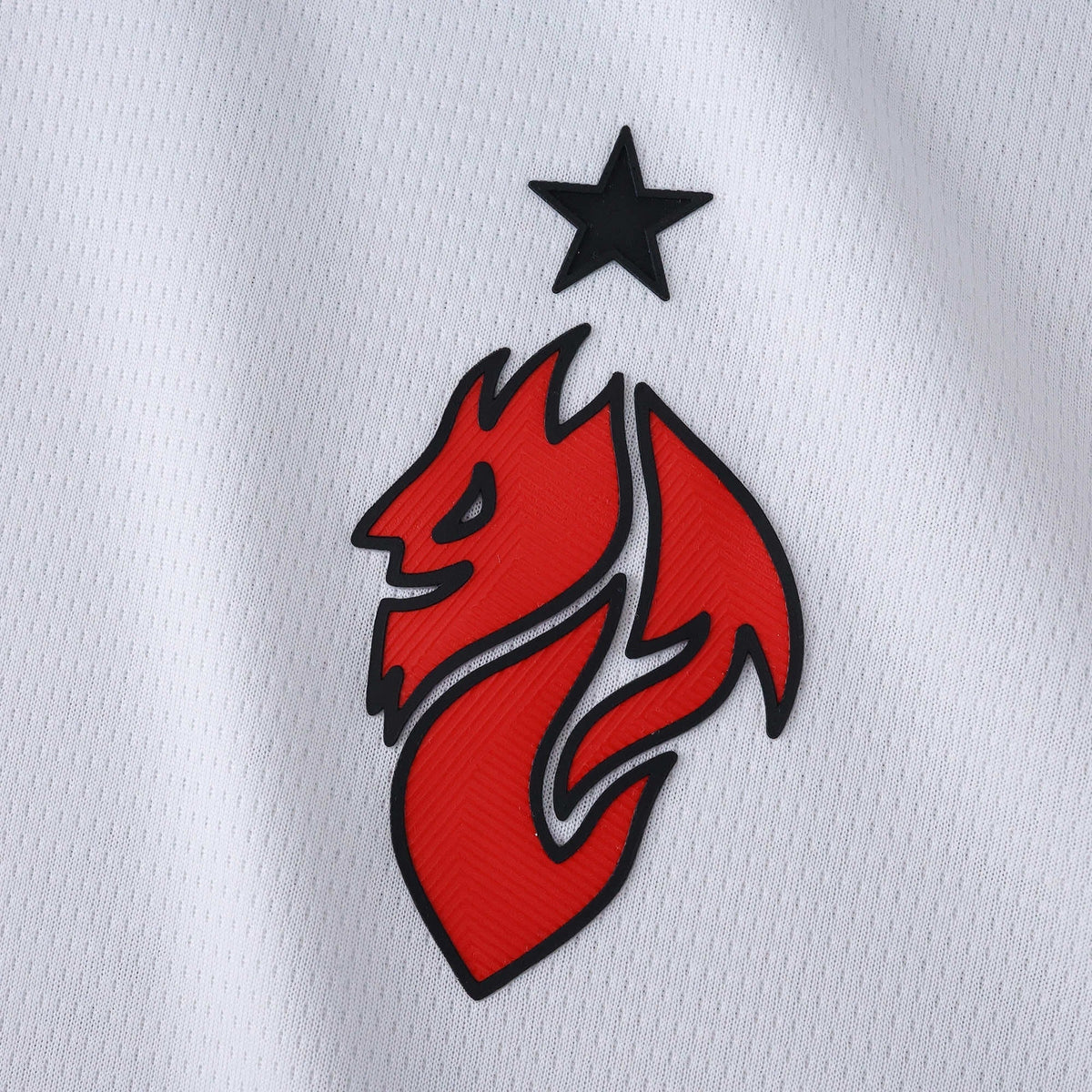 Away 25/26 Fan Shirt